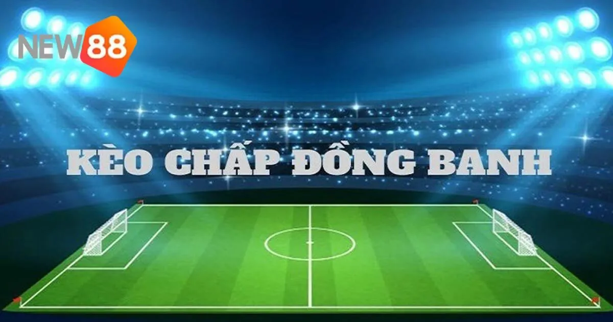 Kèo Đồng Banh - Hướng Dẫn Đọc Tỷ Lệ Và Dự Đoán Kết Quả 3 Sự khác biệt giữa kèo đồng banh và kèo chấp